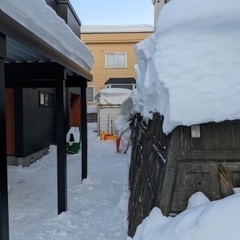 札幌市西区　排雪、除雪作業