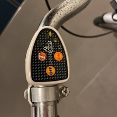 電動自転車　ミニチャリ　レア