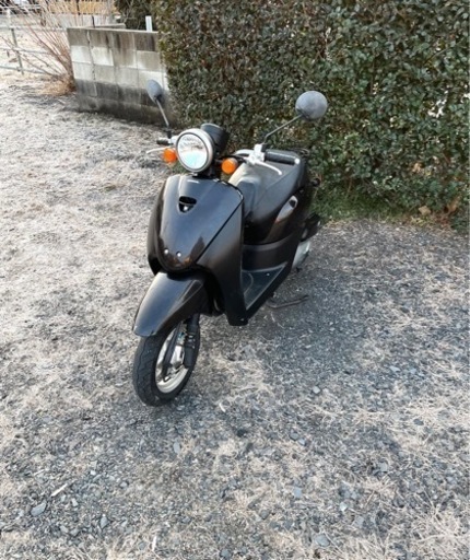 155.  ホンダ　AF67トゥデイ　原付　バイク　50cc   車体