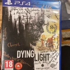 DYING LIGHT  PS4  ゲームソフト