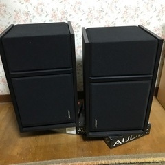 参考画像　BOSE301