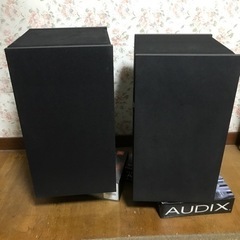 参考画像　BOSE301