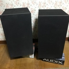 参考画像　BOSE301