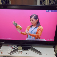 テレビ　sharp  LC-32D30