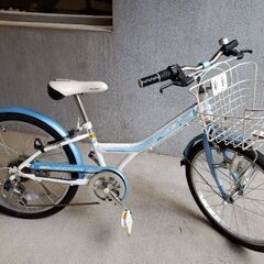 Peche子供自転車22インチブルー