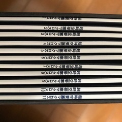 パイオニアレーザーディスクCLD616+マクロスメモリアルボックス