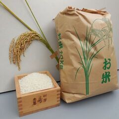 令和3年度産　１０ｋｇ（キヌヒカリ）　３０００円　こだわり栽培ひ...