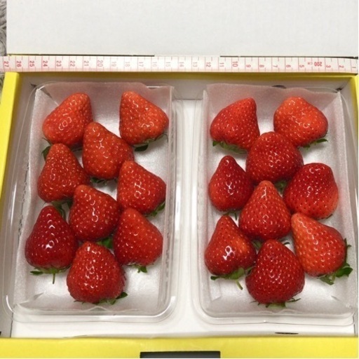家族と美味しく頂きます