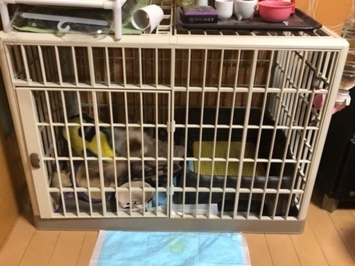 犬のゲージ