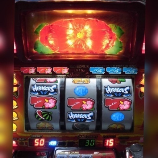 パチスロ実機　ハイビスカス