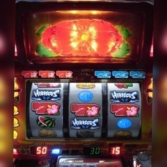 パチスロ実機　ハイビスカス パチスロ実機 ハイビスカス