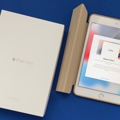 iPad mini 4(モデル番号FK9Q2J/A)128GB