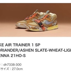 【ネット決済・配送可】Nike Air Trainer 1 SP...