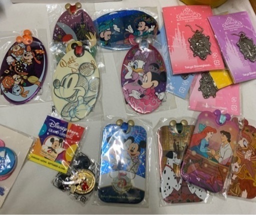 【早い者勝ち】希少なキーホルダーセット【TDRとTDS限定】