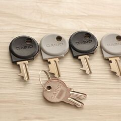 CASIO カシオ 電子レジスター NL-300 鍵付き ブラック (J1024kwxY)