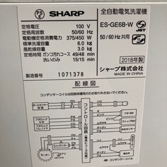 6キロ‼️SHARP‼️2018