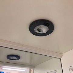 ウエストハウスギャラリー　ショーケース　ガラスキャビネット　24