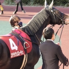 愛知🐴競馬サークル メンバー募集♪