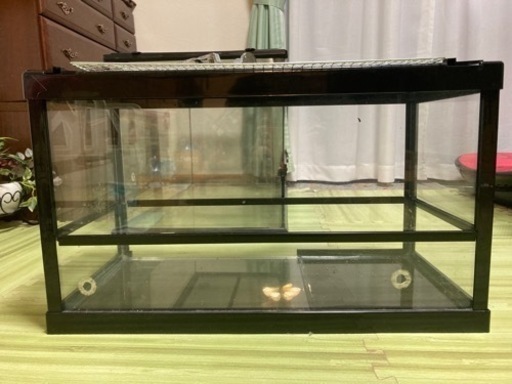 楽天市場】爬虫類 飼育ケージ 折りたたみ式 グラステラリウ W50