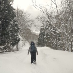 道南の冬山(低山)に一緒に登ってくれる方!!