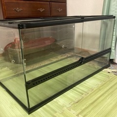 爬虫類ケージ 観音扉式 エキゾテラ GEX 購入の方、出品中のクリップ
