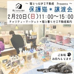 保護猫☆譲渡会in福岡！ねこちゃん多数参加！