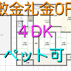 🉐敷金礼金ゼロ円🙂4DK 家賃40,000円🏠ペット 大型犬 可...