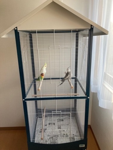 インコ・オウム用バードケージ　複数、大型なんでも入ります！