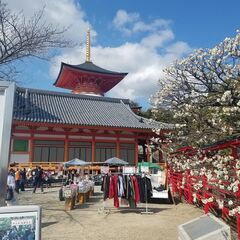 3月13日（日）中山寺　梅の市　開催情報