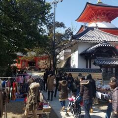 3月12日（土）中山寺　梅の市　開催情報