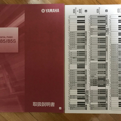 受け渡し予定 YAMAHA P-85
