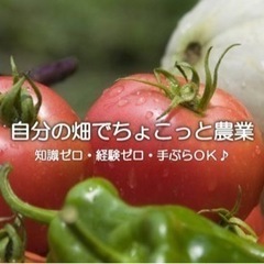 🍅サポート付きレンタル畑【ちょこっと農業】岸和田南農園3月オープン🍅