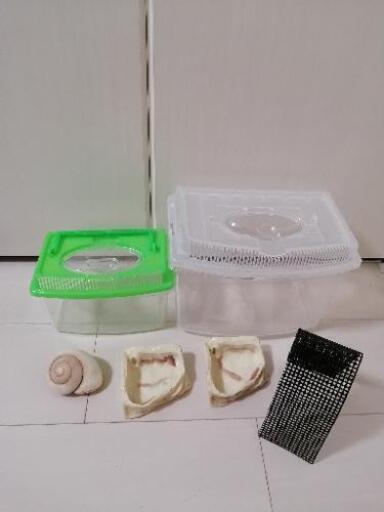 オカヤドカリ 飼育ケース プラケース セット まとめ売り 両生類 エレン 汐見橋のその他の中古あげます 譲ります ジモティーで不用品の処分 オカヤドカリ 飼育ケース プラケース セット まとめ売り 両生類 エレン 汐見橋のその他の中古あげます 譲ります ジモティーで不用品の処分
