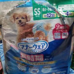 オムツ犬男の子用