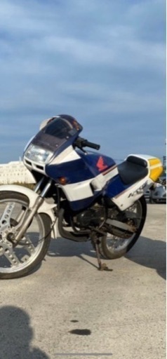 その他 NSF50