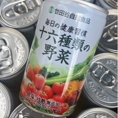 世田谷自然食品 十六種類の野菜ジュース1箱