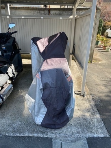 HONDA PS250/グリーン/ETC2.0付き/丸目/実動