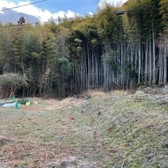 竹の伐採・搬出