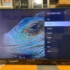 納品済］4K 49v型 2020年製 スマートTV LG製 49UM7100PJA 6ヶ月保証