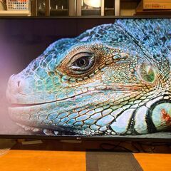 納品済］4K 49v型 2020年製 スマートTV LG製 49UM7100PJA 6ヶ月保証