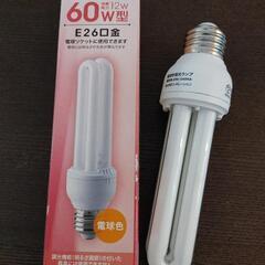 蛍光ランプと電球