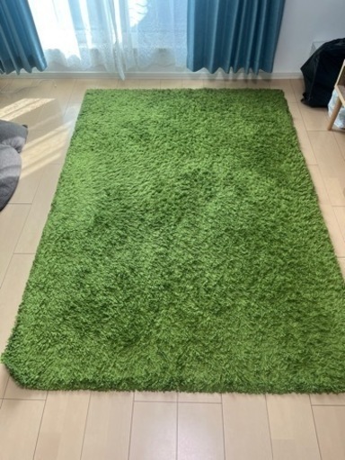 IKEA ラグ 絨毯 www.inversionesczhn.com