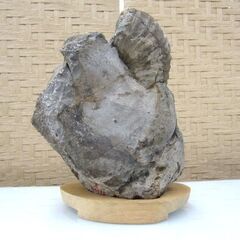 化石 アンモナイト 台付 約8kg 北海道 札幌市手稲区