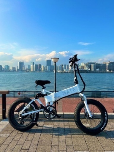 Mate Bike ホワイトアイス(White Ice) Mate Bike ホワイトアイス(White Ice)