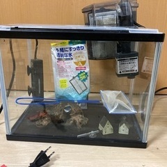 水槽セット！熱帯魚買えます。