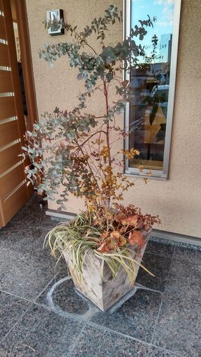 お取引中★植木　飾り