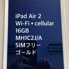 iPad Air 2 Wi-Fi+Cellular 16GB [...