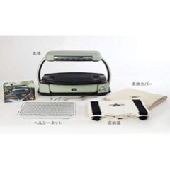 アラジンプレート　グリーン