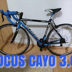 FOCUS CAYO　3.0　105モデル　サイズXS
