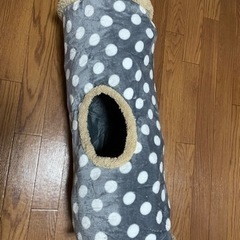 キャットトンネル